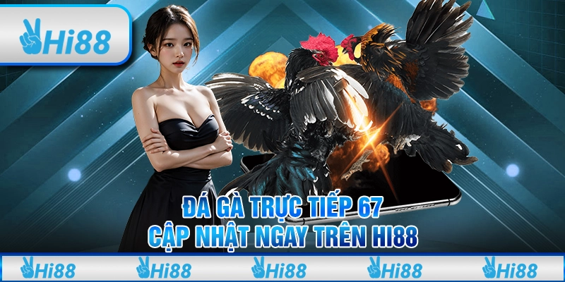 Đá gà trực tiếp 67 – Cập nhật ngay trên Hi88 để chiến thắng