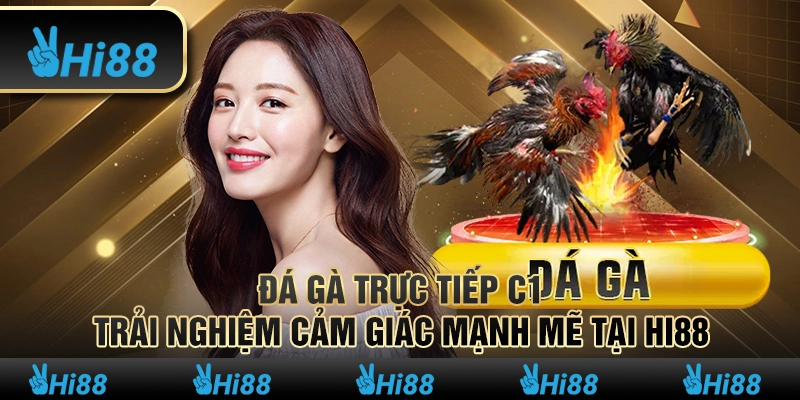 Đá Gà Trực Tiếp C1 Trải Nghiệm Cảm Giác Mạnh Mẽ tại Hi88