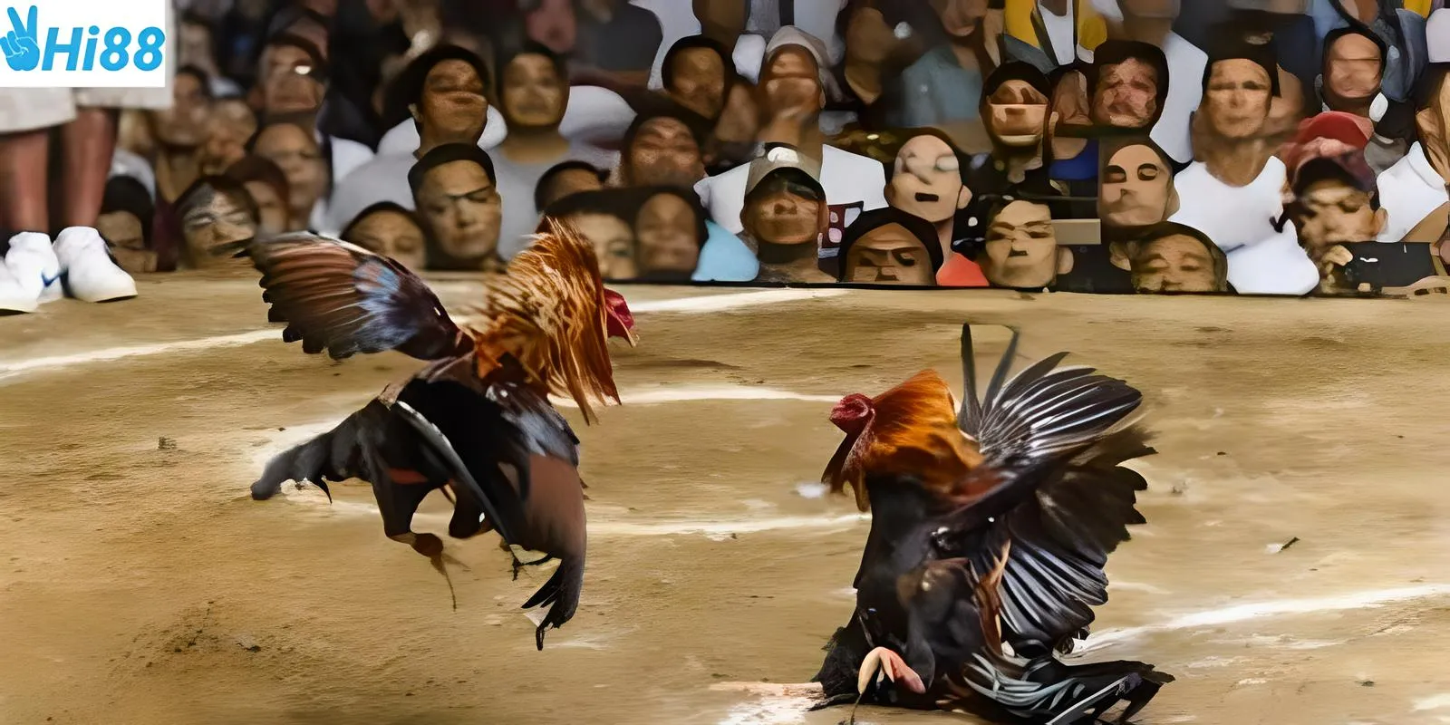 Sự lựa chọn hợp lý giúp bạn dễ dàng giành chiến thắng