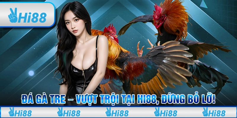 Đá Gà Tre – Vượt Trội Tại Hi88, Đừng Bỏ Lỡ Cơ Hội Kiếm Tiền