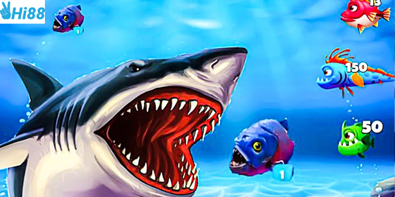 Đa dạng cấp độ và hỗ trợ khách hàng tận tình