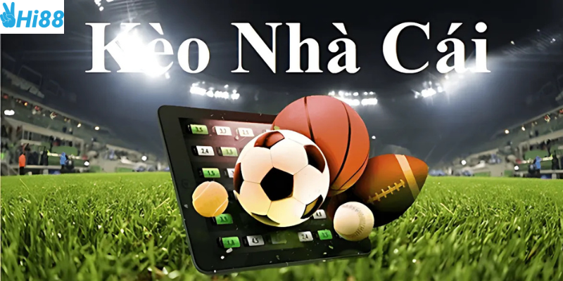 Kèo nhà cái 888 và những điều cần biết
