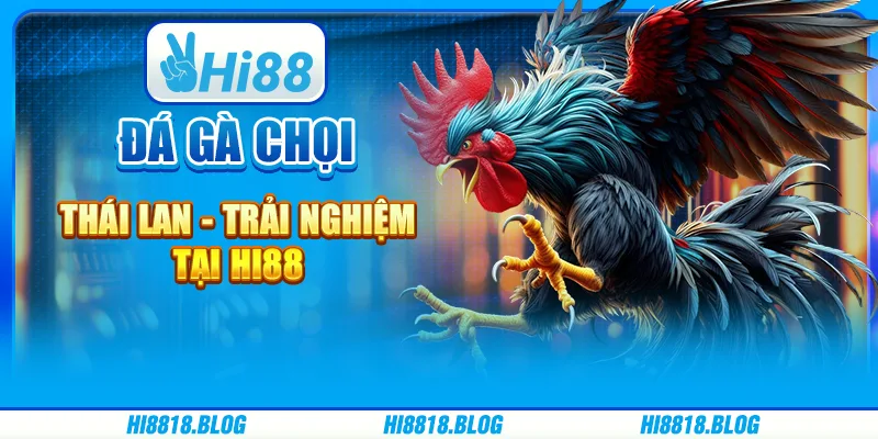 Đá Gà Chọi Thái Lan - Trải Nghiệm Tại Nền Tảng Hi88