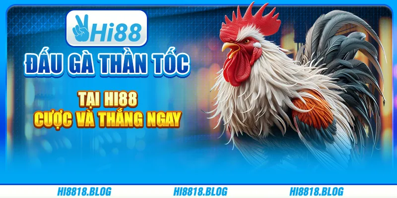 Đấu Gà Thần Tốc Tại Hi88 - Cược Nhanh Và Thắng Ngay