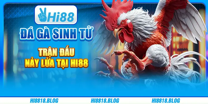 Đá Gà Sinh Tử - Trận Đấu Nảy Lửa Tại Nền Tảng Giải Trí Hi88