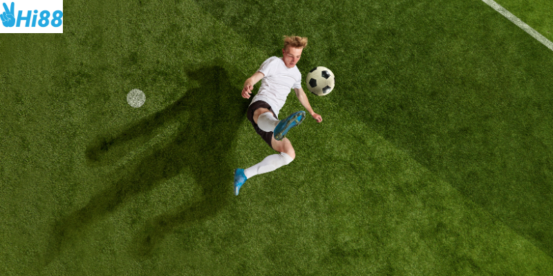 Dự đoán chính xác dựa trên thông tin chính thức