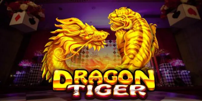 Làm sao để áp dụng mẹo chơi Dragon Tiger hiệu quả và dễ thắng?